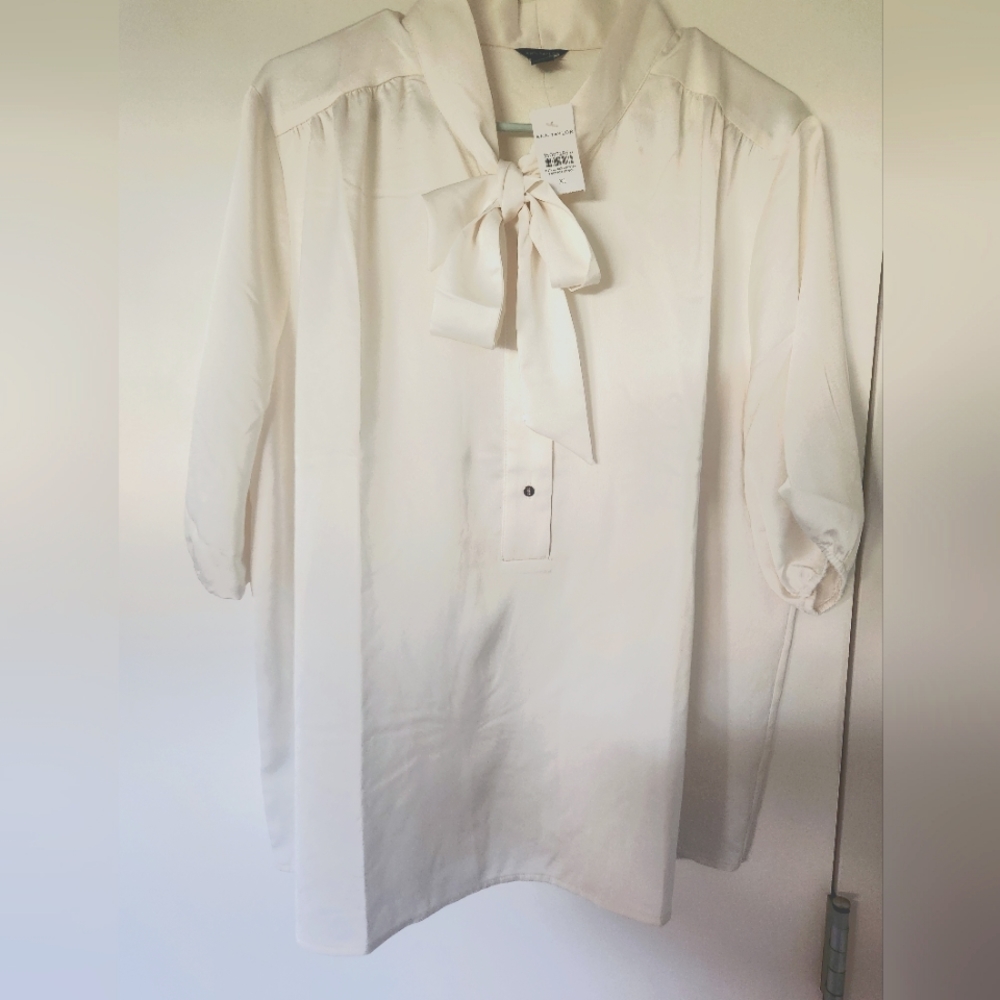 NWT Ann Taylor Silky Blouse